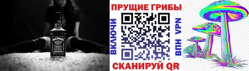 Псилоцибиновые грибы мухоморы  где купить наркотик  Петушки 